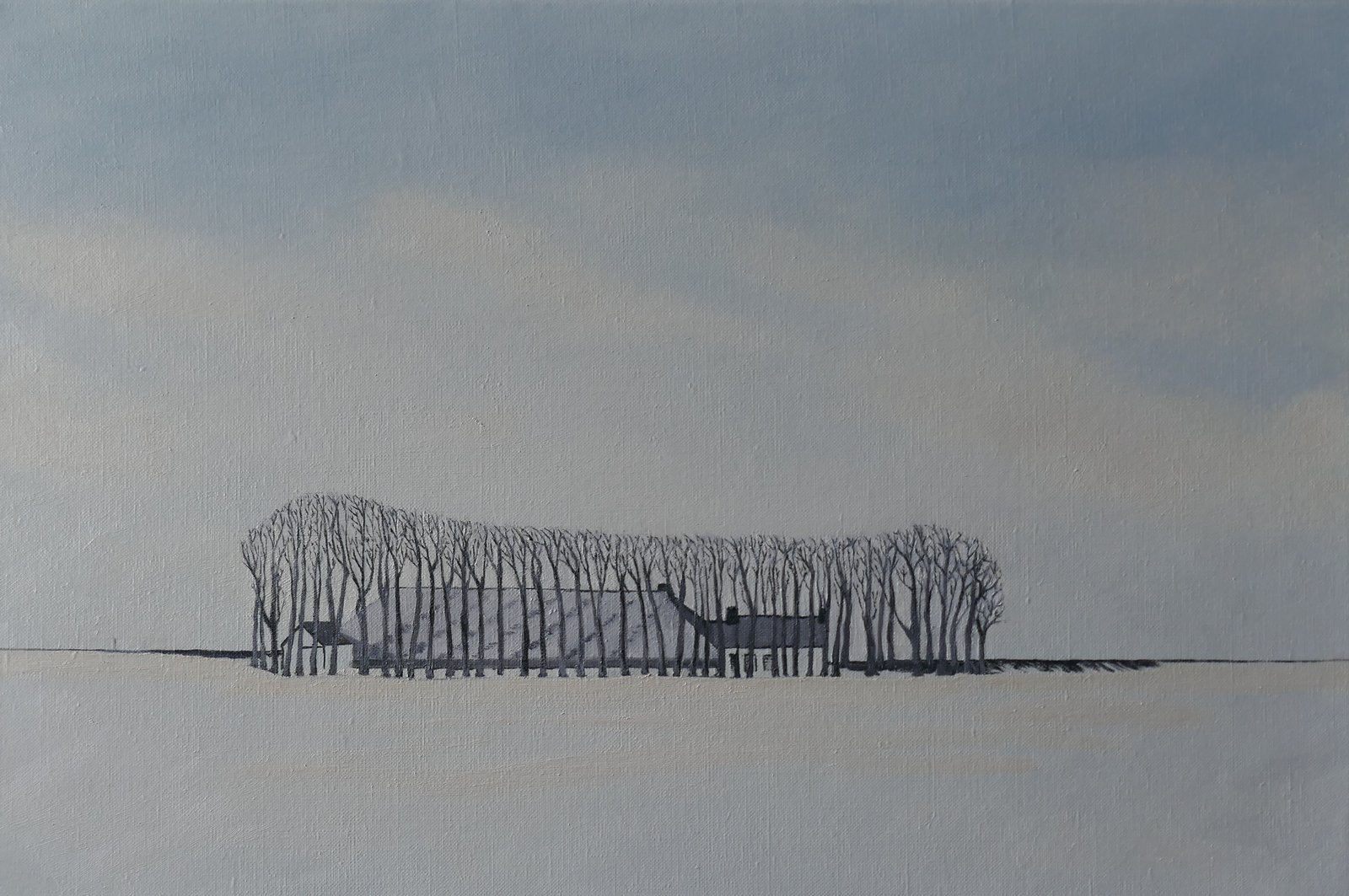 Boerderij bij Ulrum, sneeuwlandschap